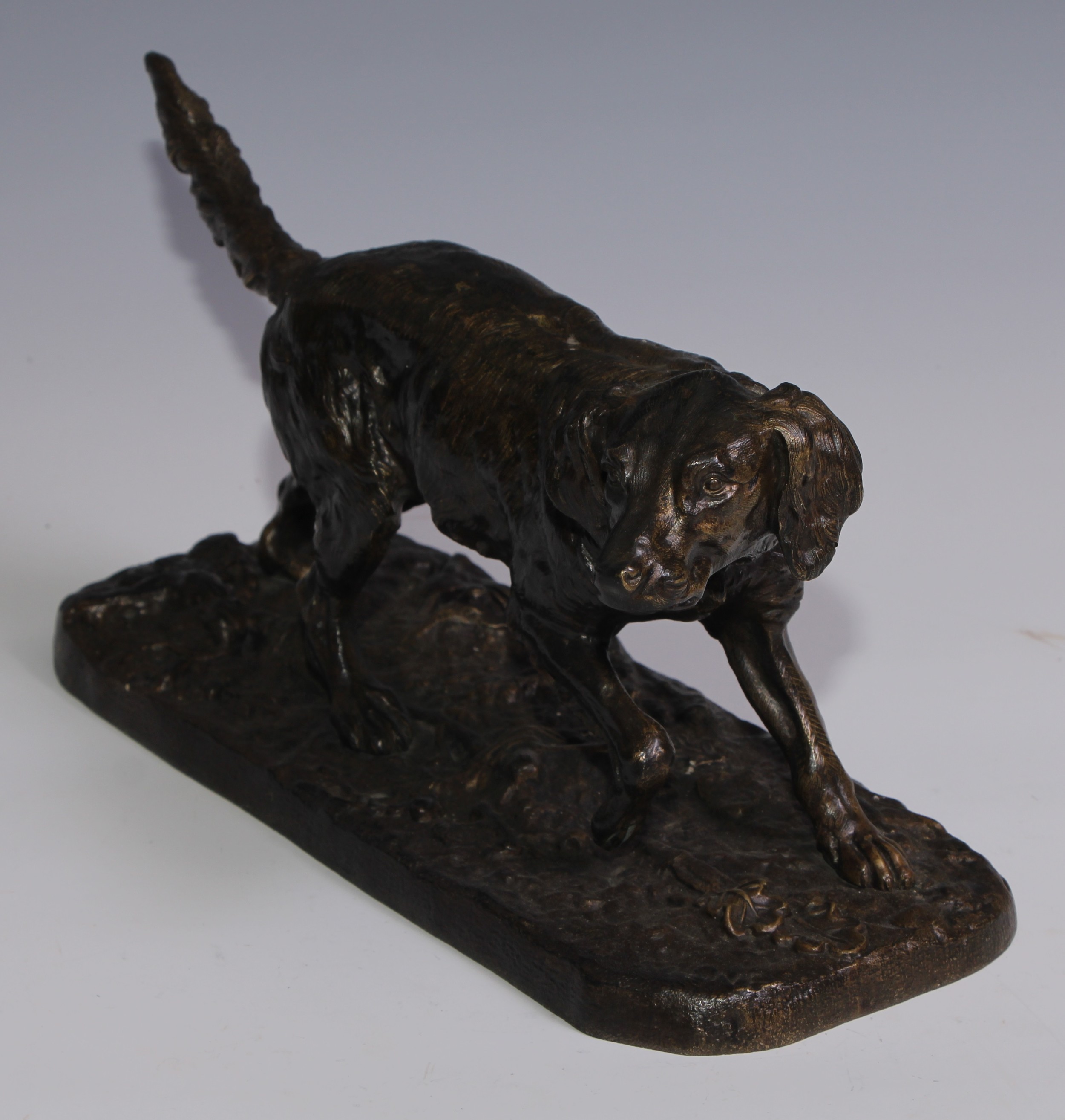 French School (early 20th century), a bronze, of a retriever dog, 32.5cm long - Image 2 of 3