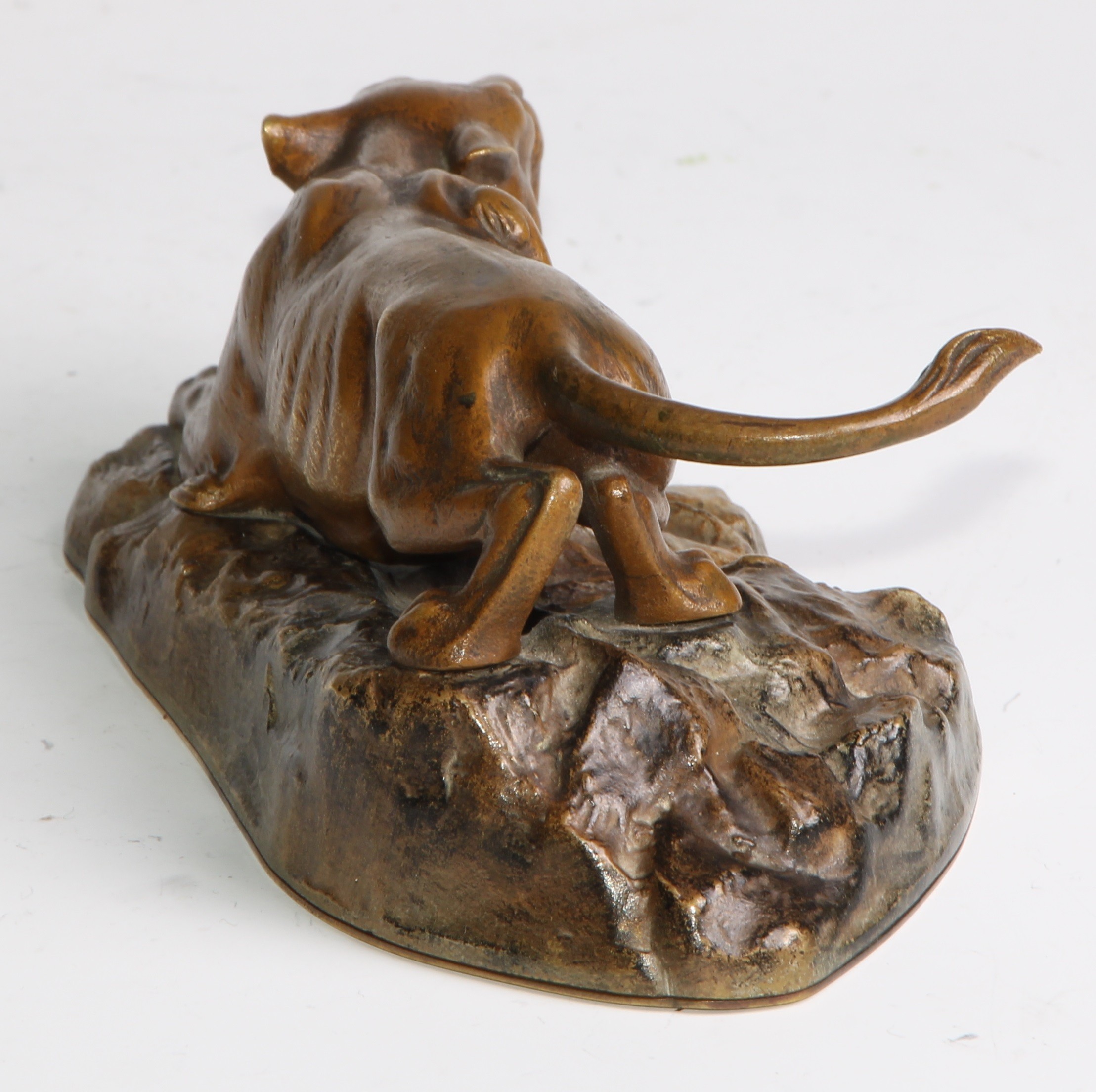 Continental School (early 20th century), a patinated bronze, of a mountain lion, stalking a rocky - Image 5 of 5