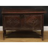 A 17th century elm six plank chest, hinged top enclosing a till, the front carved with leafy