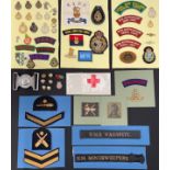 WW2 British and later post war cap badges, cloth shoulder titles and formation signs, Veterans