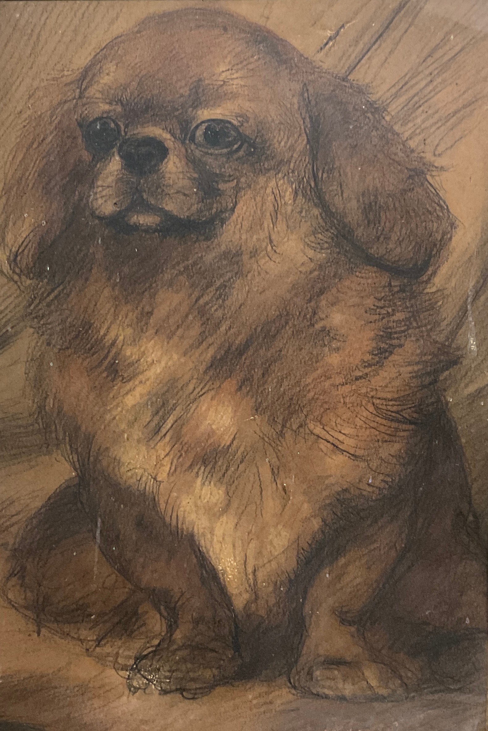 Maud Earl, (attributed to), ‘Pekingese’, indistinctly signed, 31cm x 21cm. - Image 2 of 2