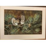 Pollyanna Pickering (English, 1942-2018), Grey Squirrel pair, signed, gouache on artist's board,
