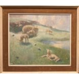 David Buchanan, Springtime Lambs, signed, oil on canvas, 50.5cm x 60.5cm.