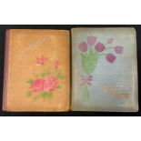 An early 20th century postcard album, various subject matters including Topographical, Greetings