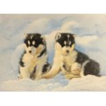 Pollyanna Pickering (1942 - 2018) Husky Pups signed, gouache, 45cm x 59cm