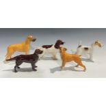 A Beswick model, of a Springer Spaniel, 14cm high; others, Wire Haired Terrier; Boxer; Great Dane;