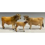 A set of three Beswick Jersey cattle models, Champion Dunsley Coy Boy bull, Champion Newton Tinkle