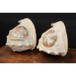 A pair of large 19th century Grand Tour cameo conch shells, carved after the antique with a