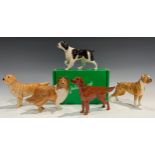 A Beswick model, of a Boxer dog, 'Blue Mountain Greta', 14cm high; others, Springer Spaniel,