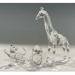 A Swarovski Crystal model, Baby Giraffe, 13.5cm high; others, Chimpanzee; Lion Cub; all boxed (3)