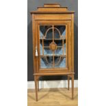 An Edwardian mahogany display cabinet, of small and neat proportions, 134cm high, 55.5cm wide, 34.