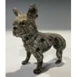 A Bergman cold painted bronze, French bulldog, 9cm high