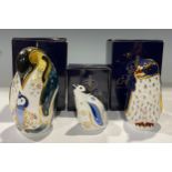 A Royal Crown Derby paperweight, Rockhopper Penguin, gold stopper, boxed; others, Penguin and
