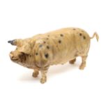 Advertising - a painted composite model of a Pig, probably a butchers shop display model, 50cm long