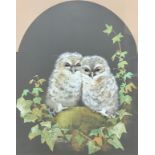 Pollyanna Pickering (1942-2018) Two Owlets signed, gouache, 35cm x 28cm