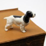 A Beswick model of a Cocker Spaniel Dog, 7cm high