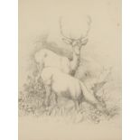 R M Dublin (19th century) Deer Grazing signed, dated 1821, pencil drawing, 24cm x 17.5cm