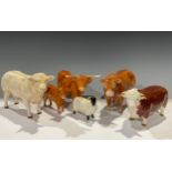 A John Beswick model of a Highland cow and calf, a Charolais bull, a Limousin Bull, a Hereford bull,