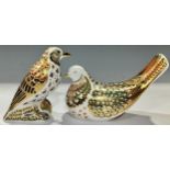 A Royal Crown Derby paperweight, Turtle Dove, modelled by Mark Delf and decoration design by Sue