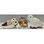 A Royal Crown Derby paperweights, Snowy Owl, Collector's Guild exclusive, gold stopper; others,