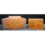 A 19th century mahogany sarcophagus tea caddy, the hinged cover enclosing two lidded compartments
