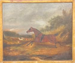 English School (19th century) Runaway Horse oil on canvas, 50cm x 60cm