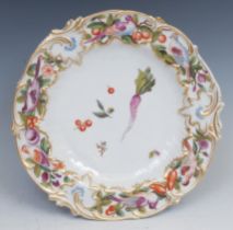 A shaped circular cabinet plate, painted with botanical and ornithological specimens, moulded and