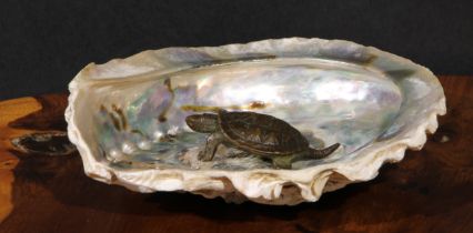 Japanese School (Meiji period), a brown patinated bronze, of a turtle, 5.5cm long, mounted in an