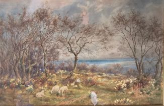 William R Hoyles Early Spring Gloddaeth Woods signed, watercolour, 35cm x 54cm