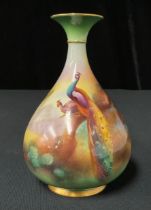A Royal Worcester bottle vase, by CV White, signed, painted with peacocks in a pine wood, number