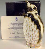 A Royal Crown derby paperweight, Galapagos Penguin, part of the Endangered Species Collection,