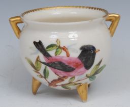 A Royal Worcester tripod cauldron, painted by John Hopewell with colourful finches, gilt dentil rim,