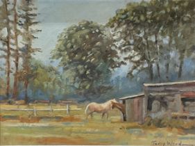 Terry Ward Horses in Dappled Sunlight signed, oil on board, 14cm x 19cm