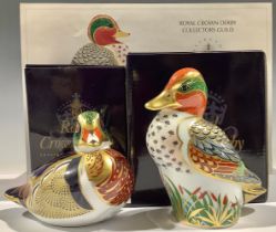 A Royal Crown Derby paperweight, Green Winged Teal, Collectors Guild exclusive, signed, gold