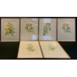 Pictures and prints - A set of six twentieth century colour engravings , 28cm wide x 37 high (6)