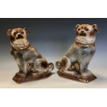 A pair of Staffordshire models, of pug dogs, gilt collars, 29.5cm high