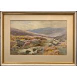 W S M Darish, Dartmoor, signed, watercolour, 28cm x 46cm