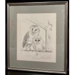 Pollyanna Pickering (1942-2018), Barn Owl with chick, signed, fine pencil drawing, 44cm x 36cm.