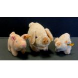 Toys and Juvenilia - A group of three Steiff Pigs, reg numbers: 5414/18, 1525/08, 1505/10 (3)