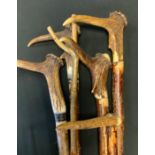 A tall walking stick, antler handle, others longest approx 140cm high (6)