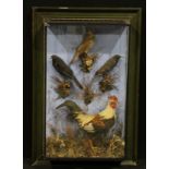 Taxidermy - a late Victorian diorama arrangement of domestic and garden birds, comprising a bantam