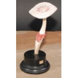 Natural History - Mycology - a painted model of fungus specimen, mounted for display, 18cm high
