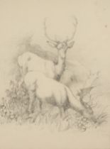 R M Dublin (19th century) Deer Grazing signed, dated 1821, pencil drawing, 24cm x 17.5cm