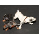 An Austrian cold painted bronze group, cast as a dachshund and a terrier, 7cm long, indistinctly