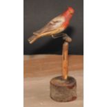 Folk Art - a soft wood avian model, carved and painted as a bird on a perch, 21cm high