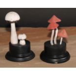 Natural History - Mycology - a painted model of fungus specimen, mounted for display, 13.5cm high;