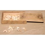 Natural History - a collection of prehistoric shark's teeth, the box with sliding cover, 13cm wide