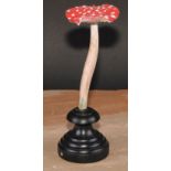 Natural History - Mycology - a painted model of fungus specimen, mounted for display, 21cm high