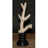 Natural History - a branch coral specimen, mounted for display, 27cm high overall