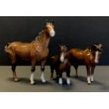 Beswick - A Beswick bay coloured stallion,22cm high, Beswick brown shire horse,15cm high, Shetland